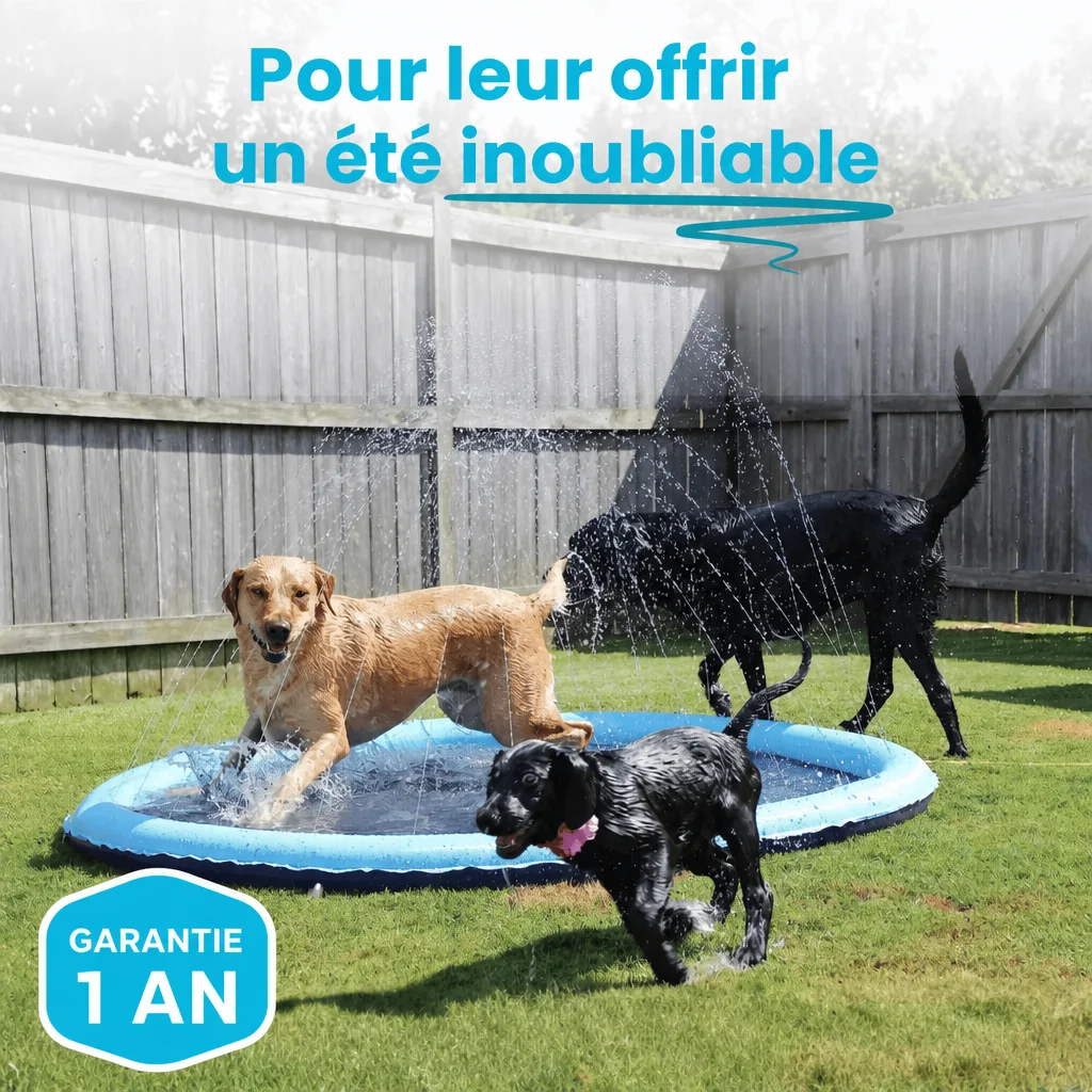 Splash Dog™ — un été inoubliable